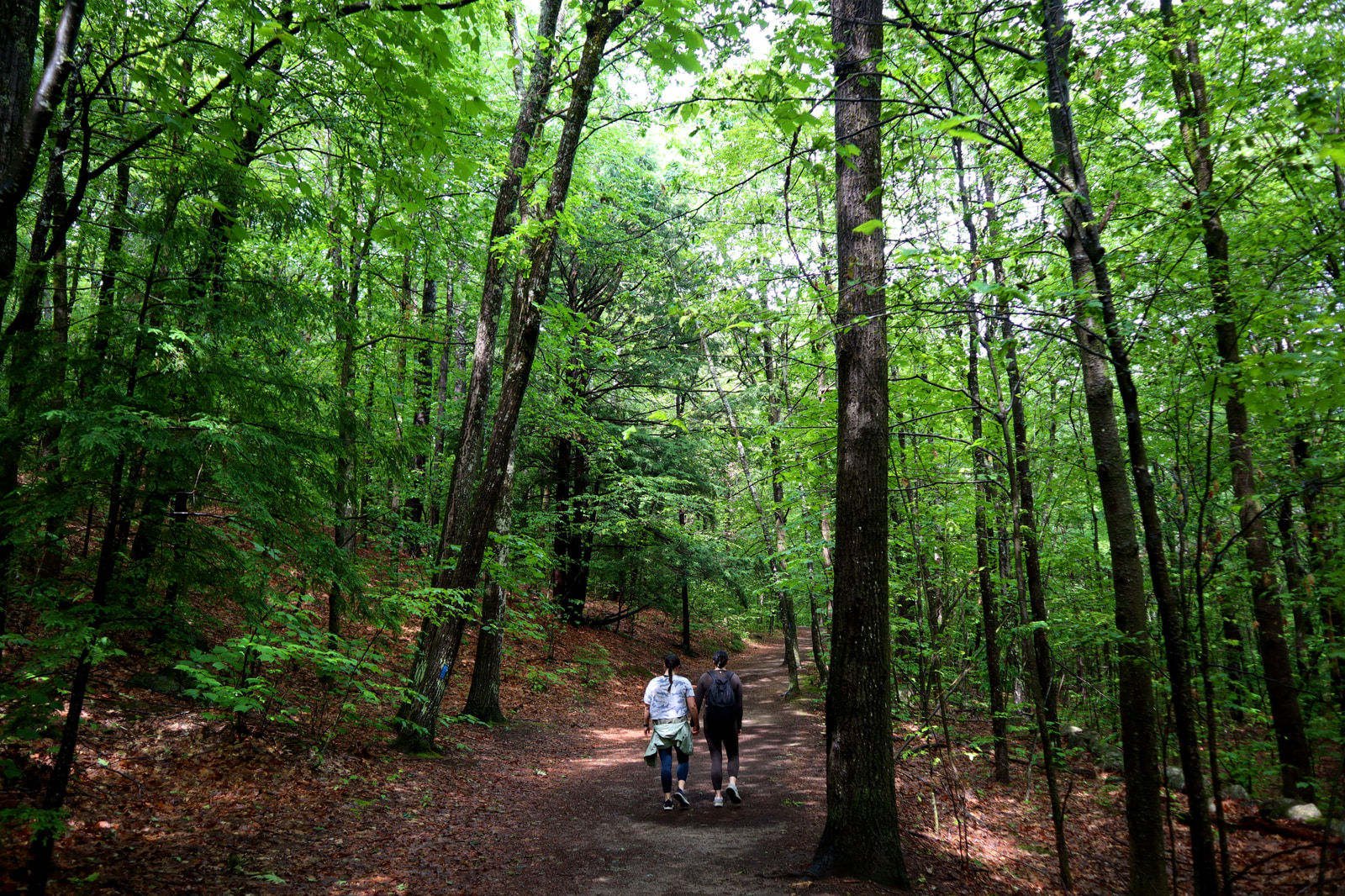 Hikes and Road Trips