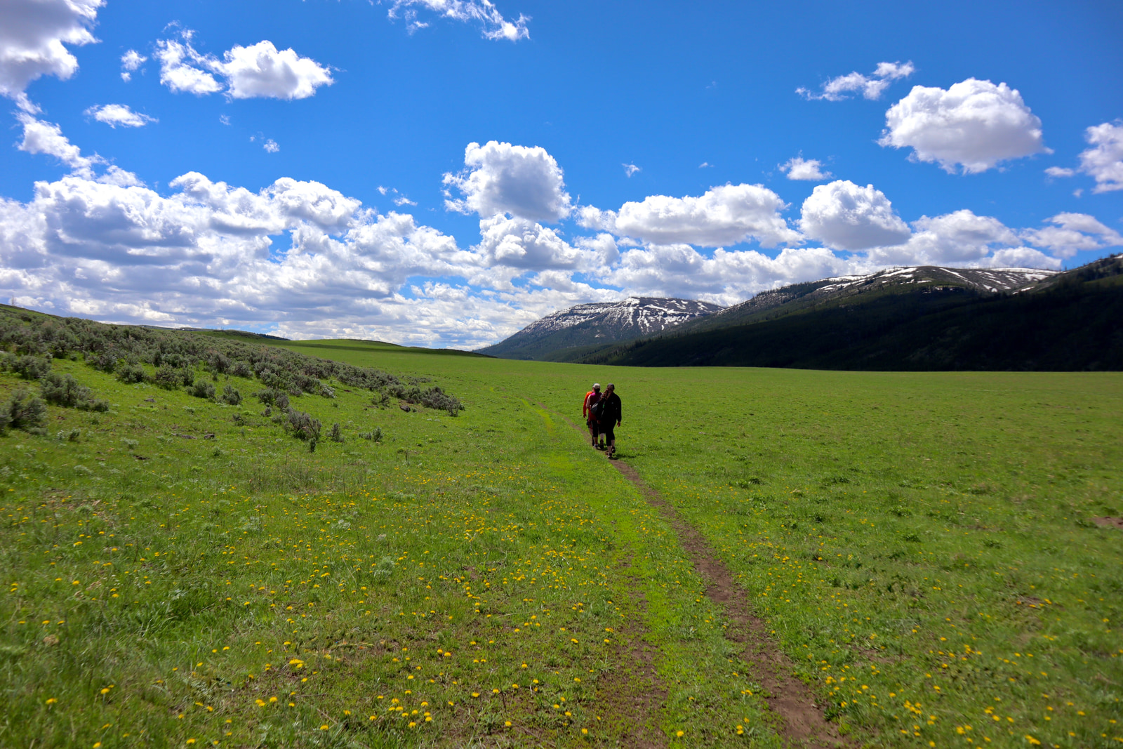 Hikes and Road Trips