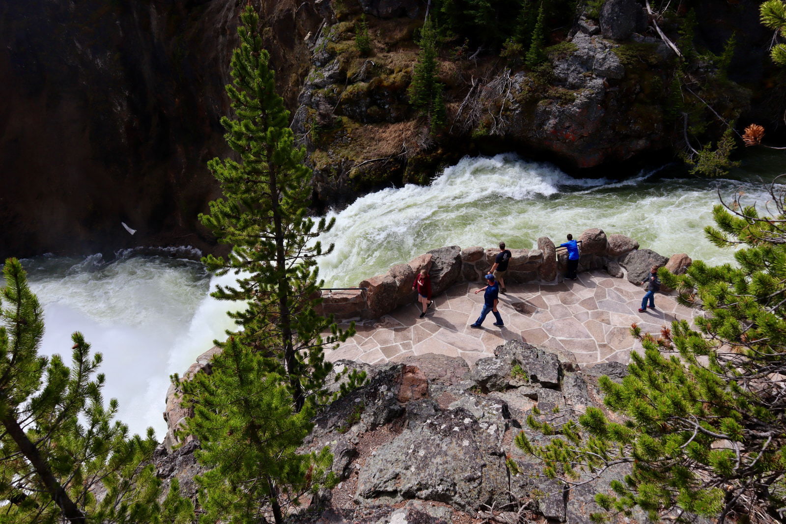 Hikes and Road Trips
