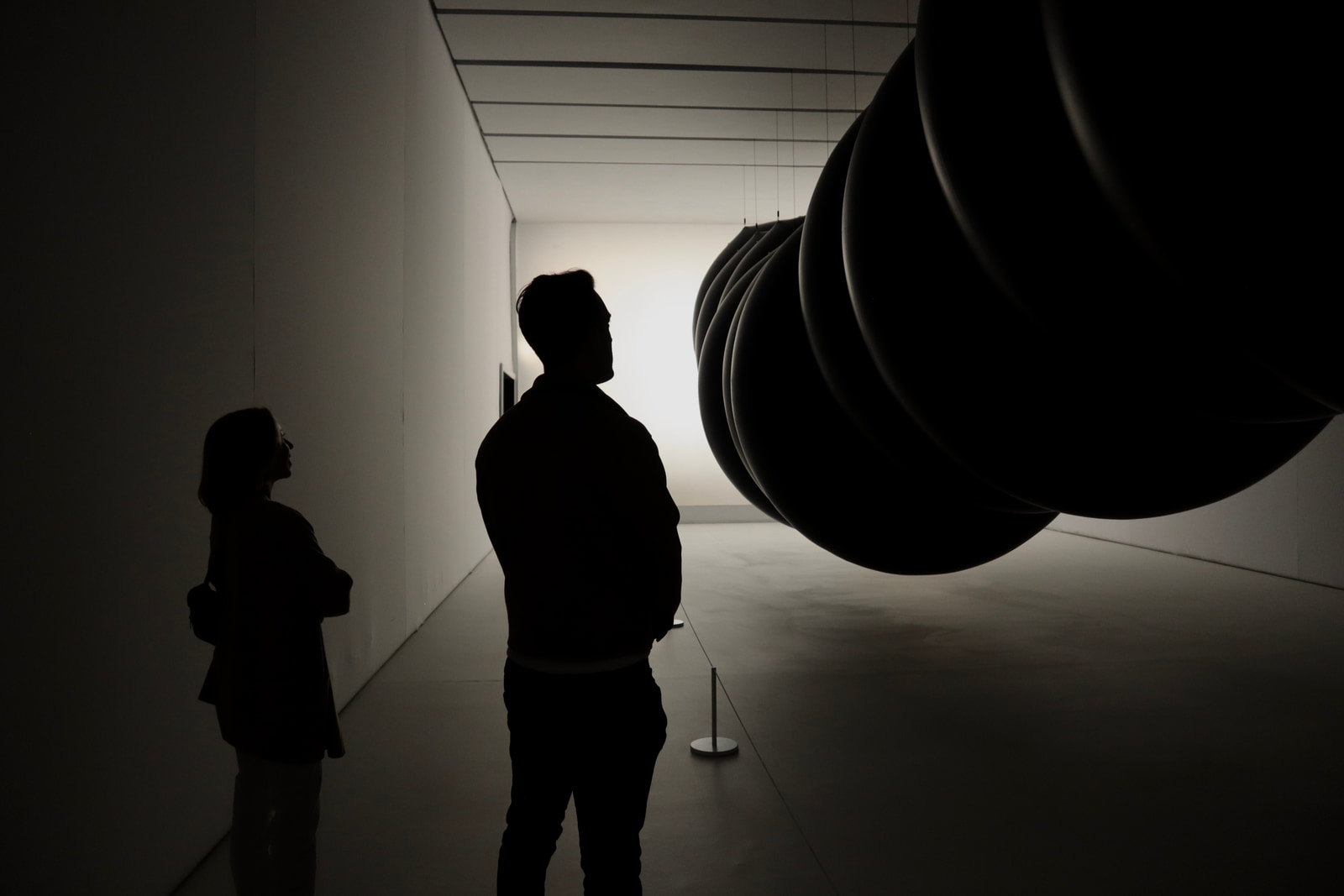 Museum Trips