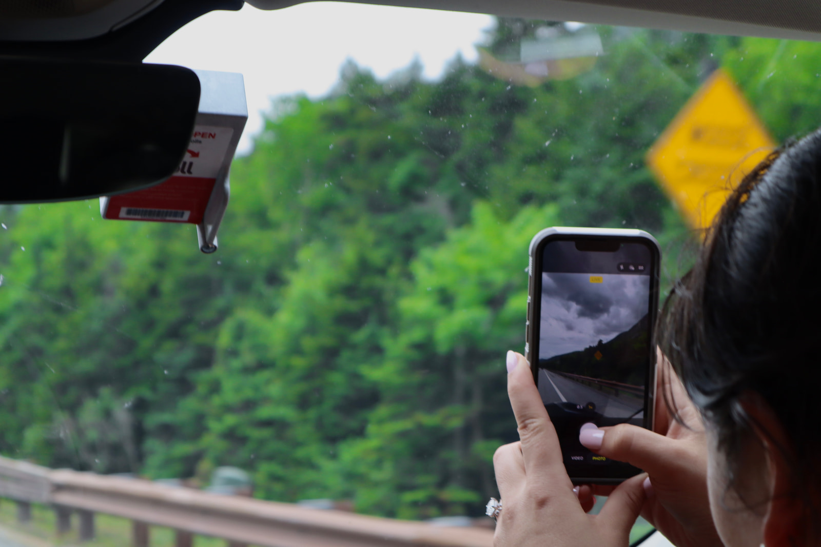 Hikes and Road Trips