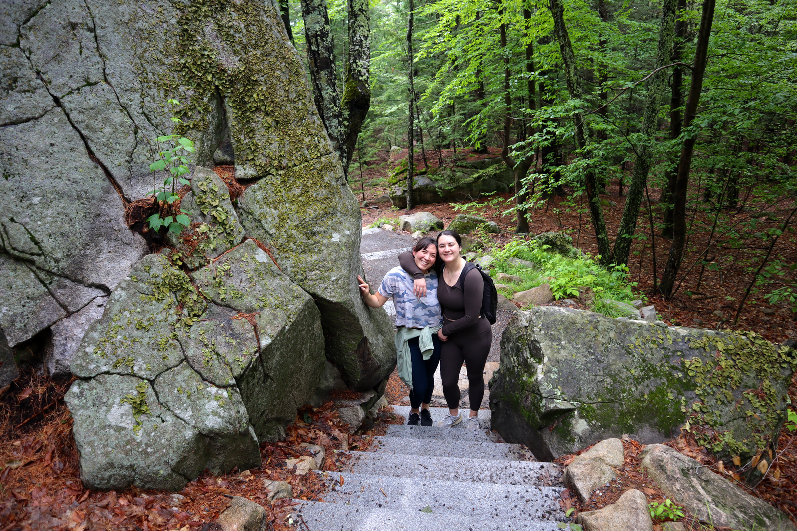 Hikes and Road Trips