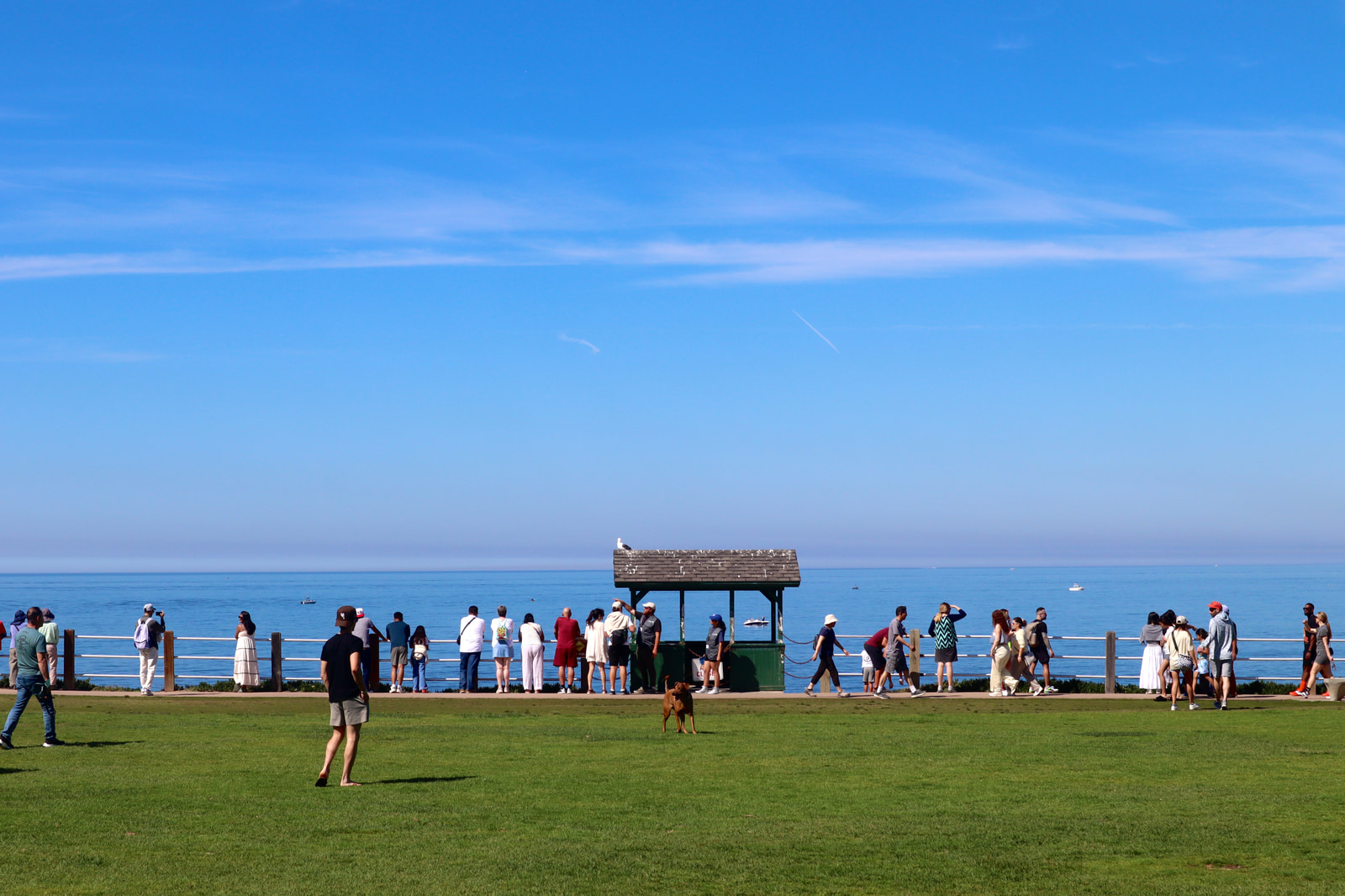 The Beach