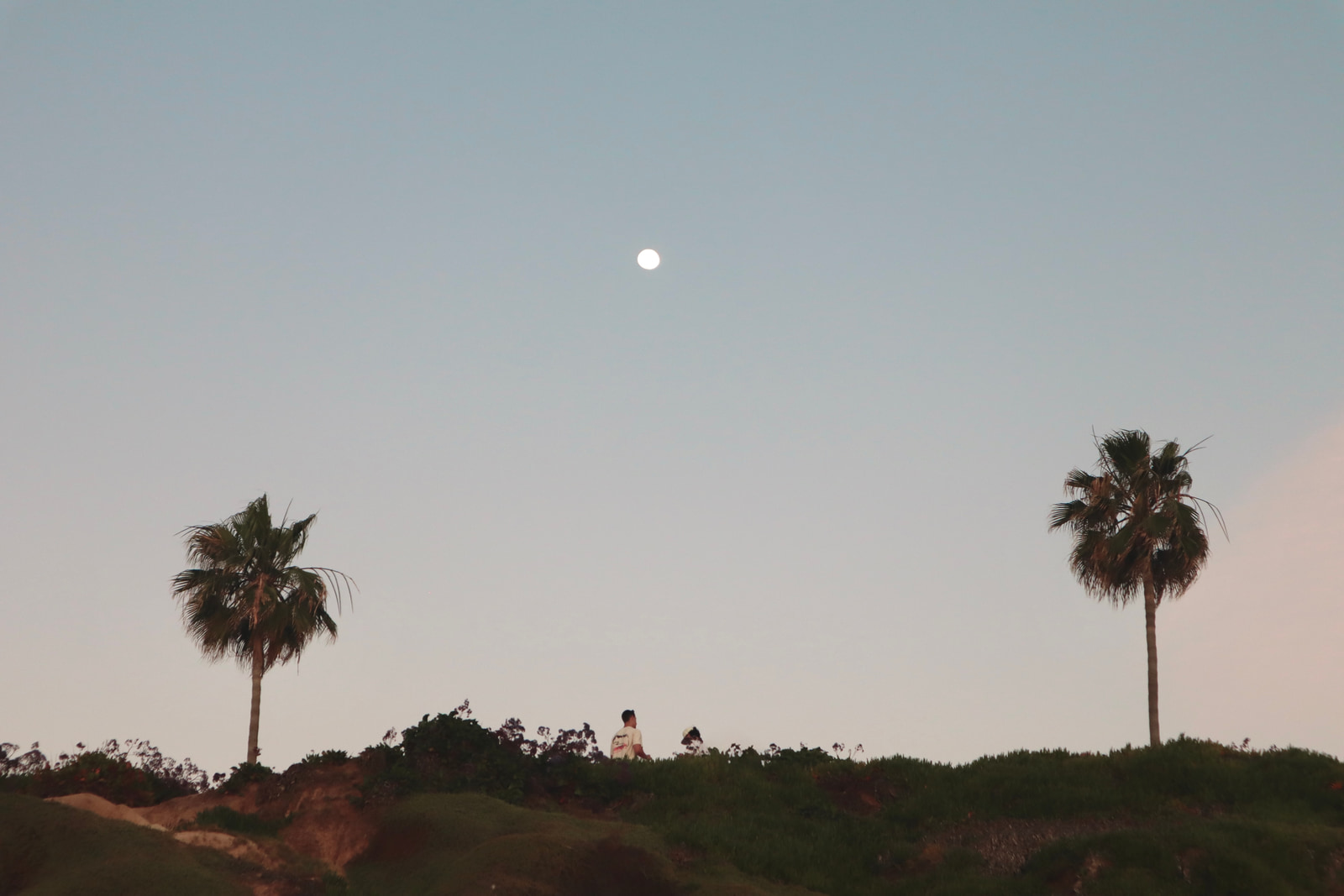 The Beach