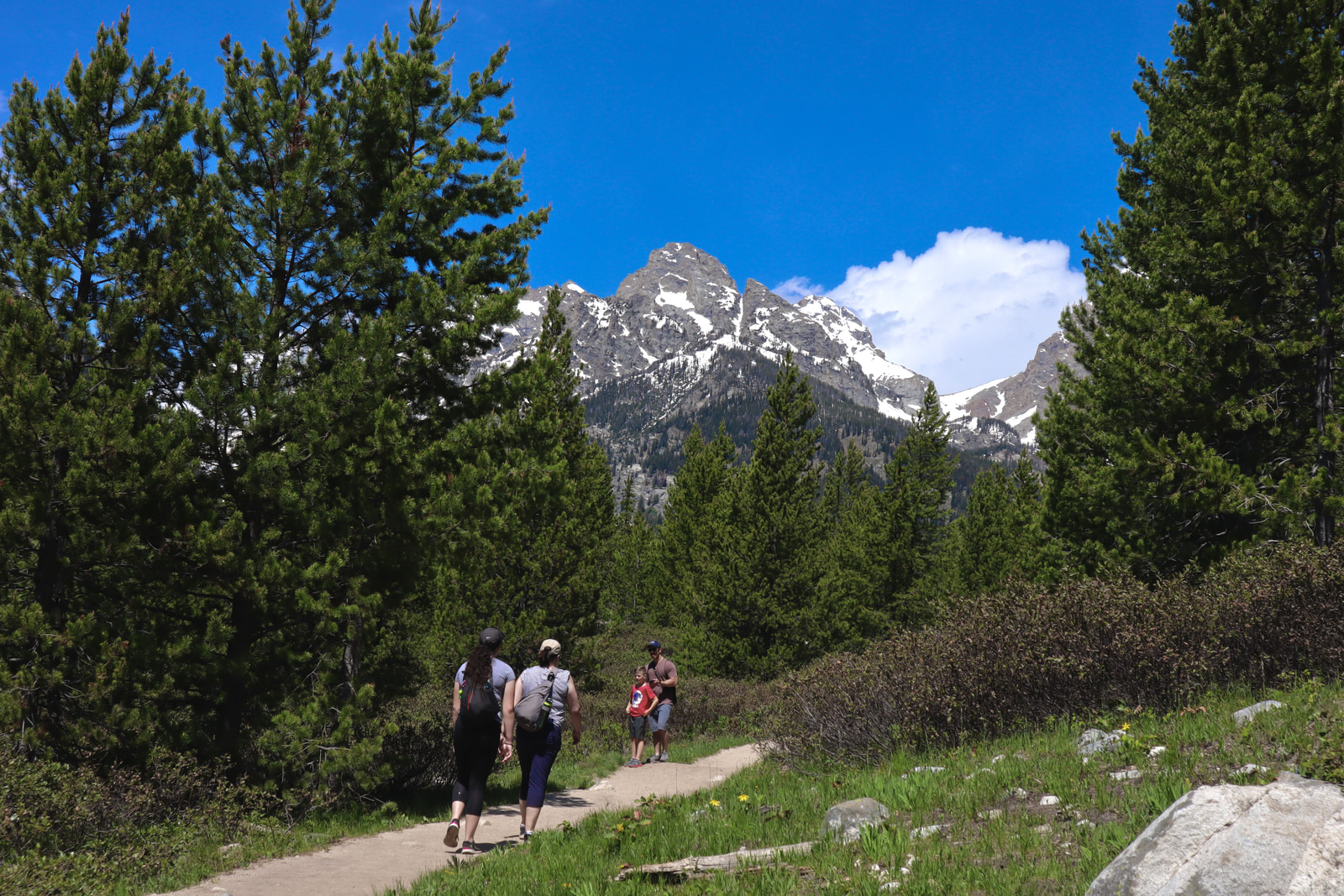 Hikes and Road Trips
