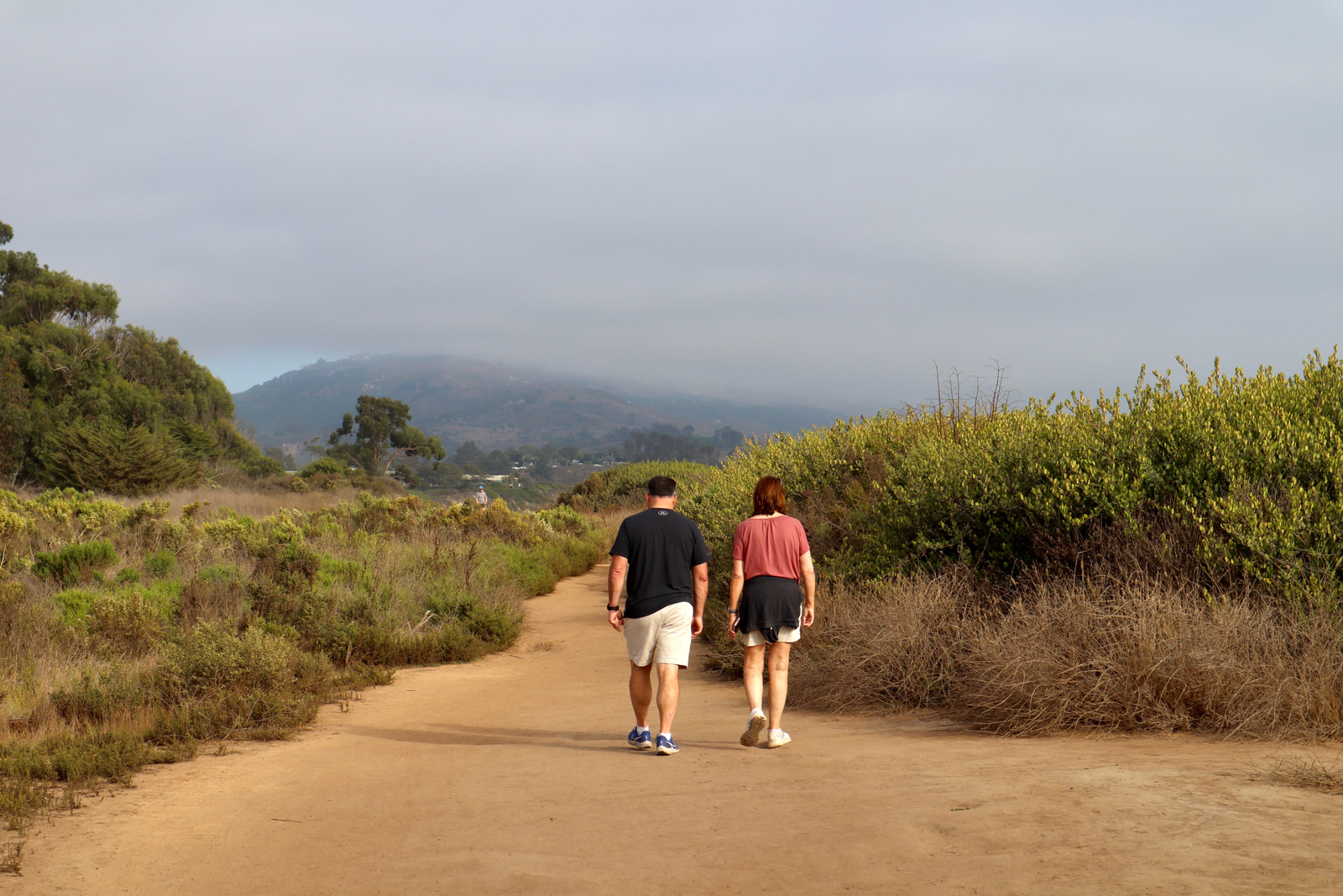 Hikes and Road Trips