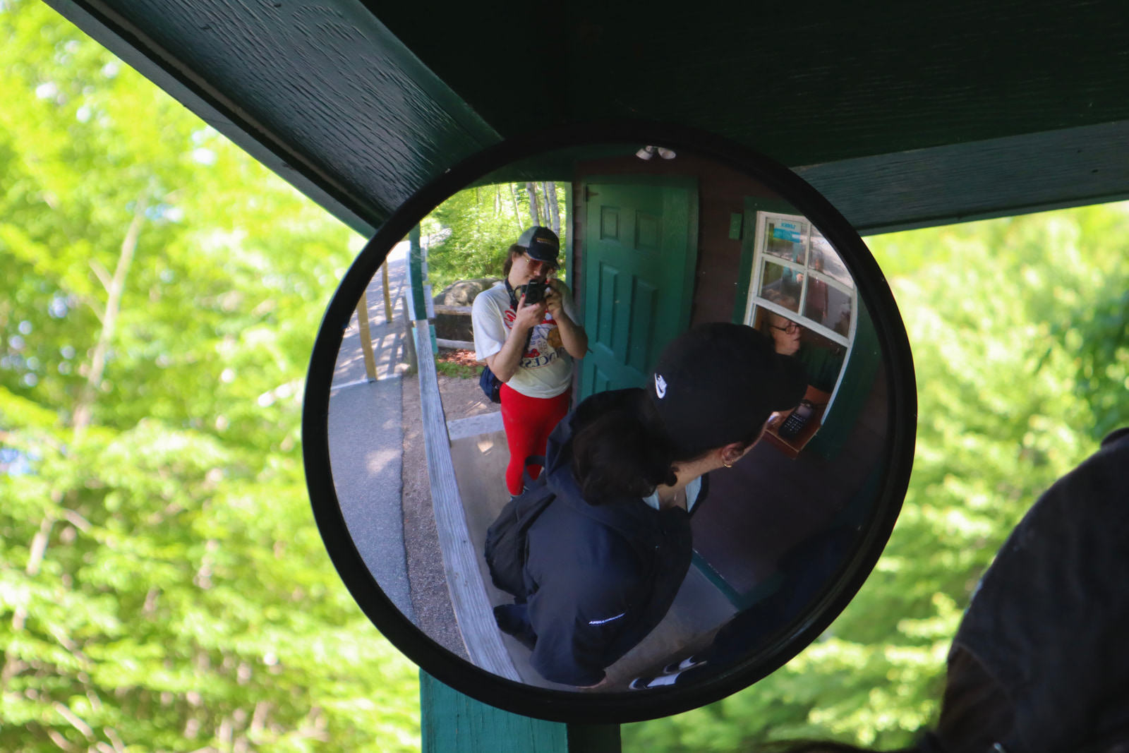 Hikes and Road Trips