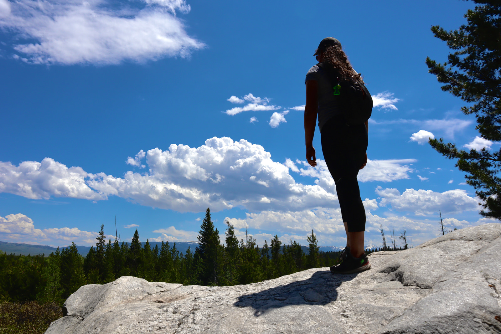 Hikes and Road Trips