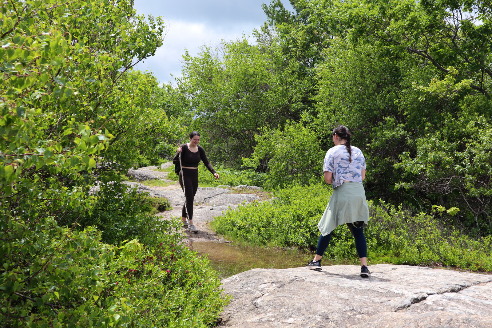 Hikes and Road Trips