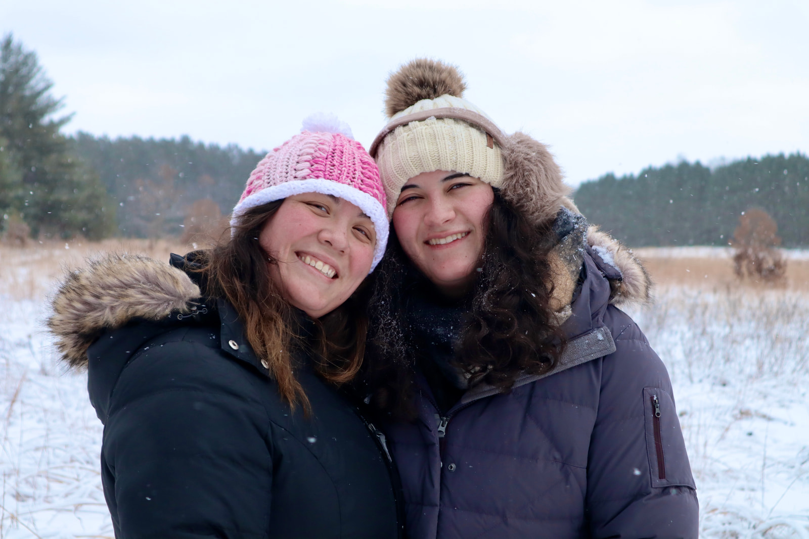 Hikes and Road Trips