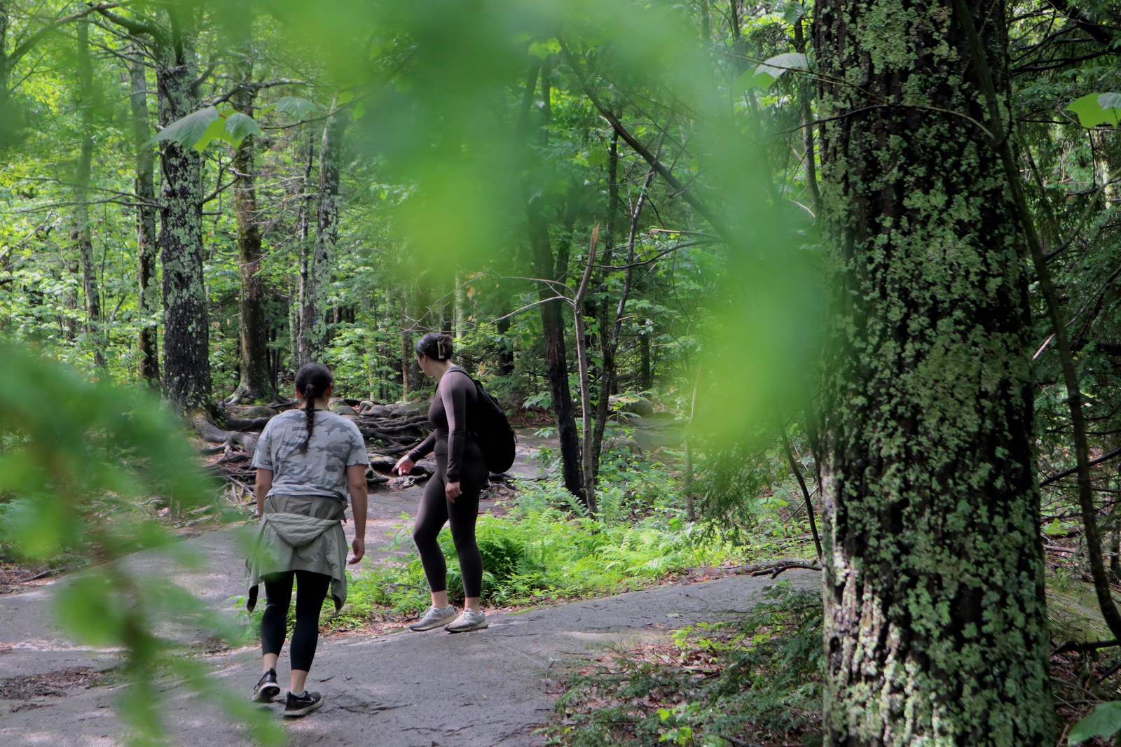 Hikes and Road Trips