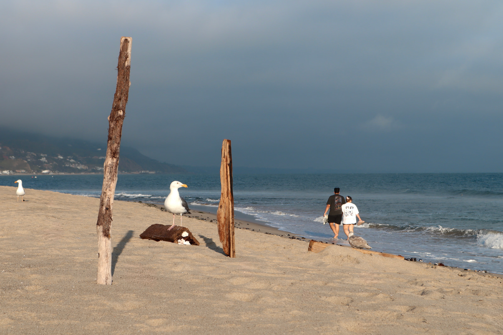 The Beach