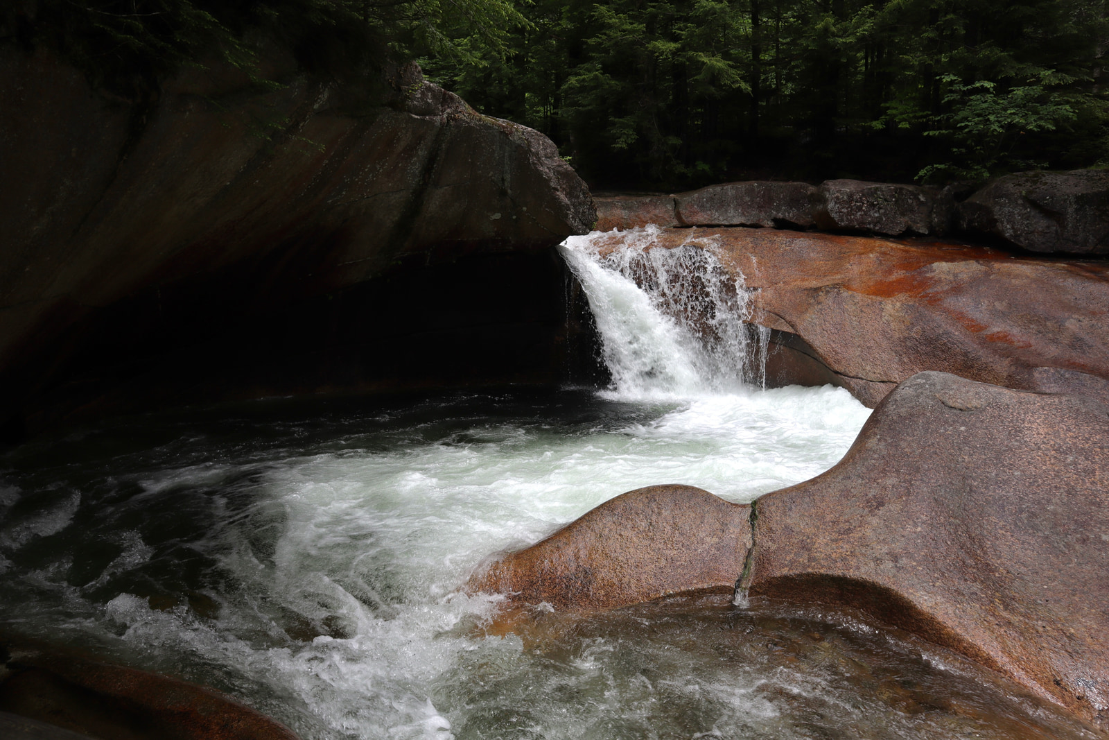 Hikes and Road Trips