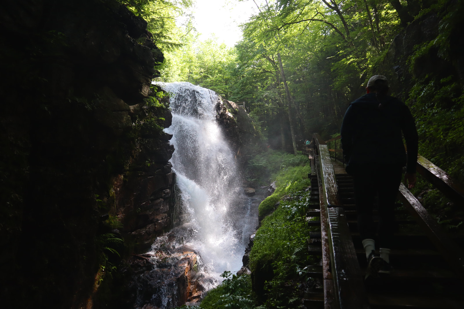 Hikes and Road Trips