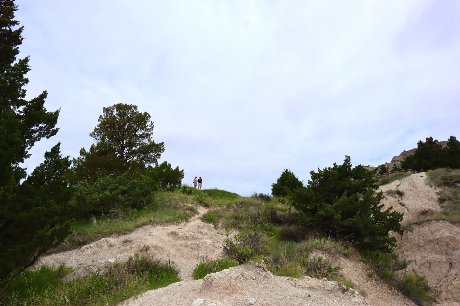 Hikes and Road Trips