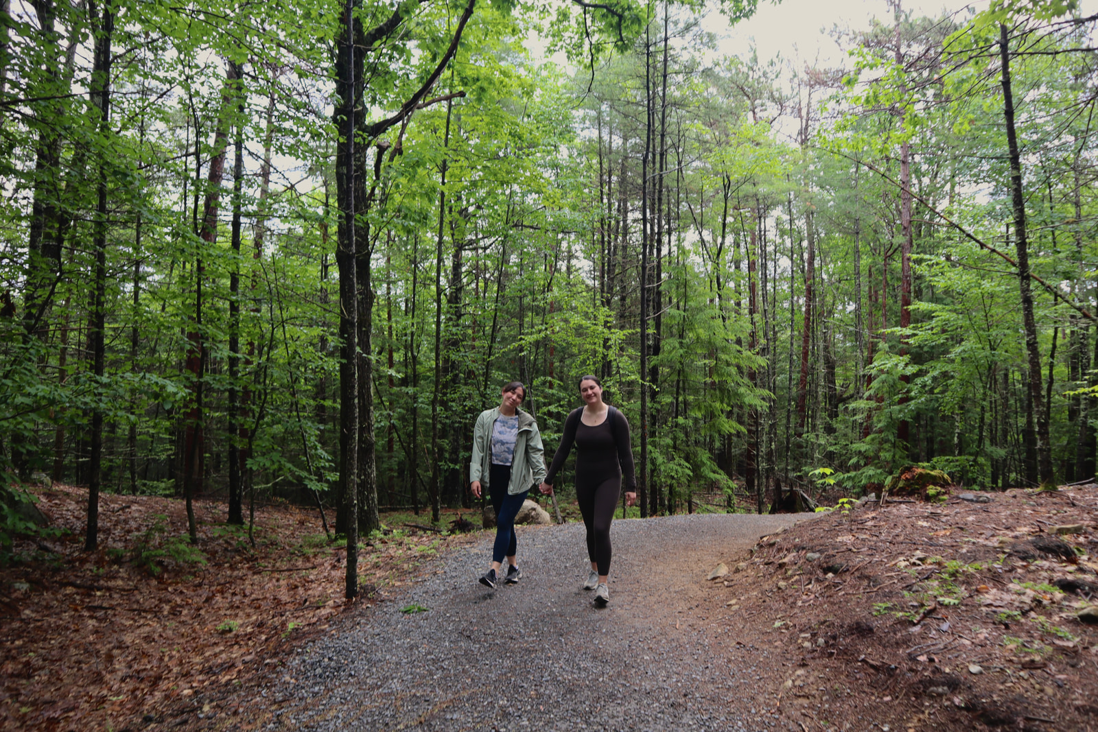 Hikes and Road Trips