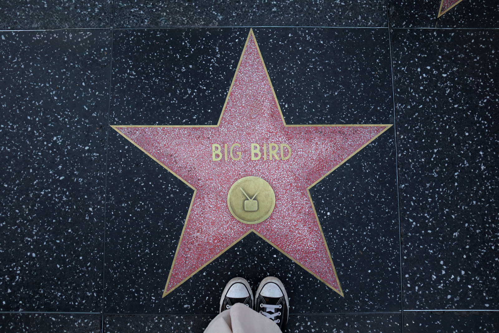 Sight Seeing