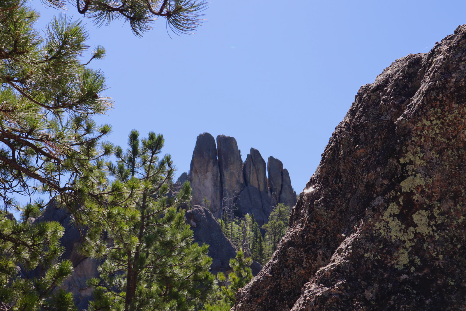 Hikes and Road Trips