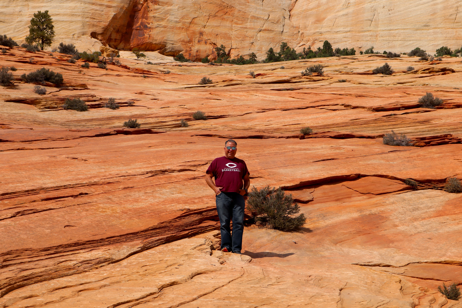 Hikes and Road Trips