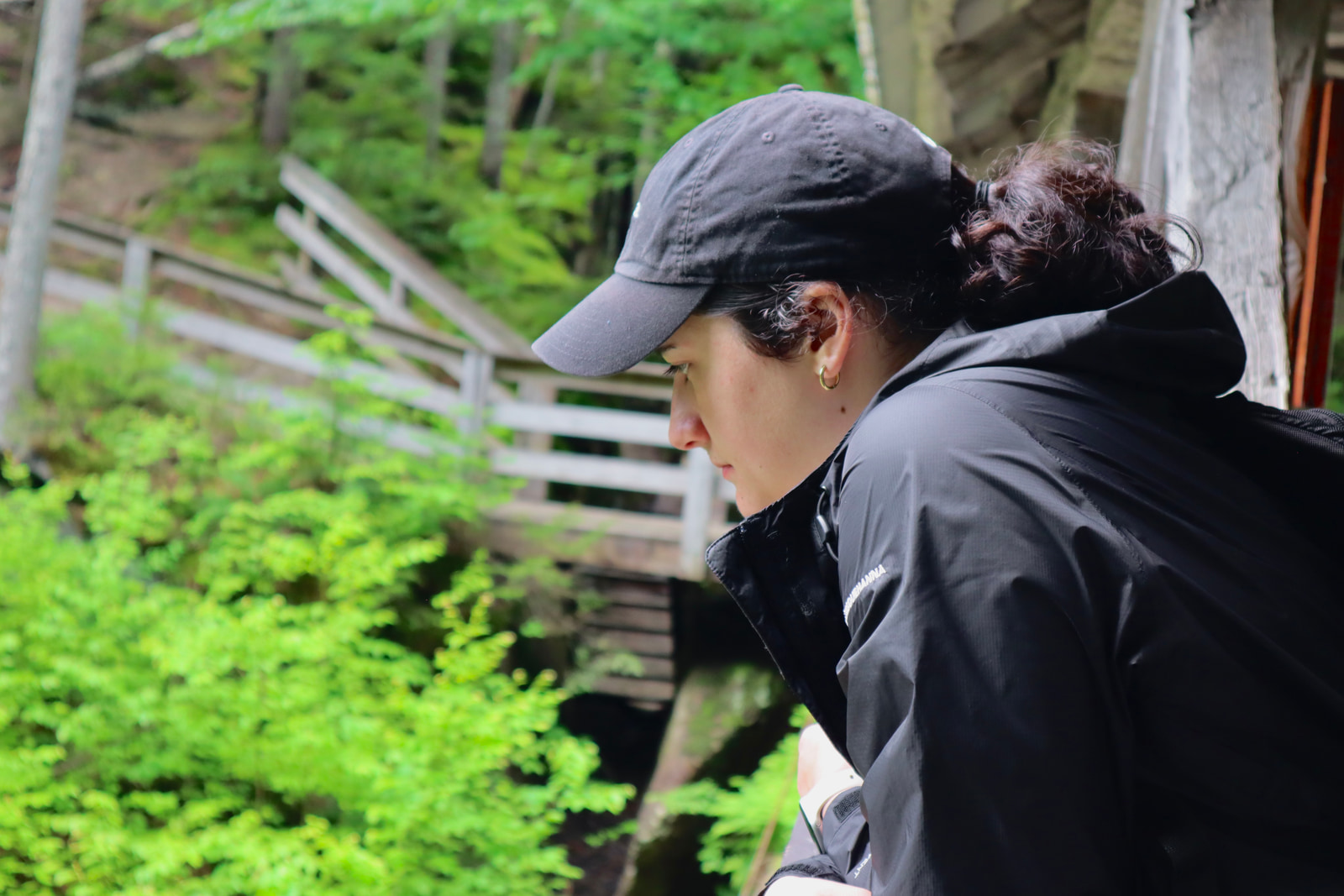 Hikes and Road Trips