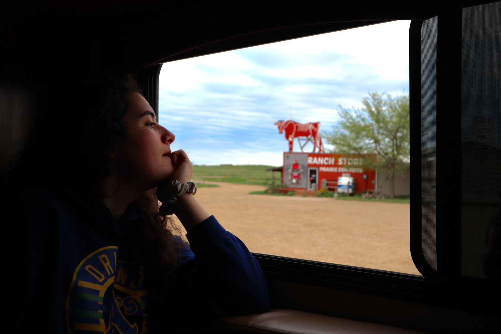 Hikes and Road Trips