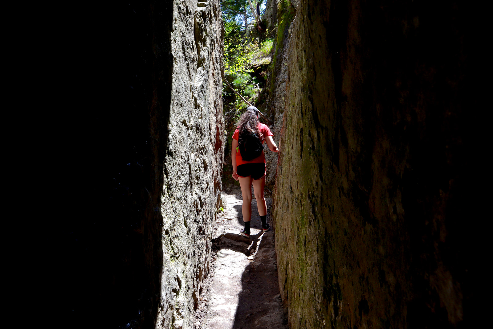 Hikes and Road Trips