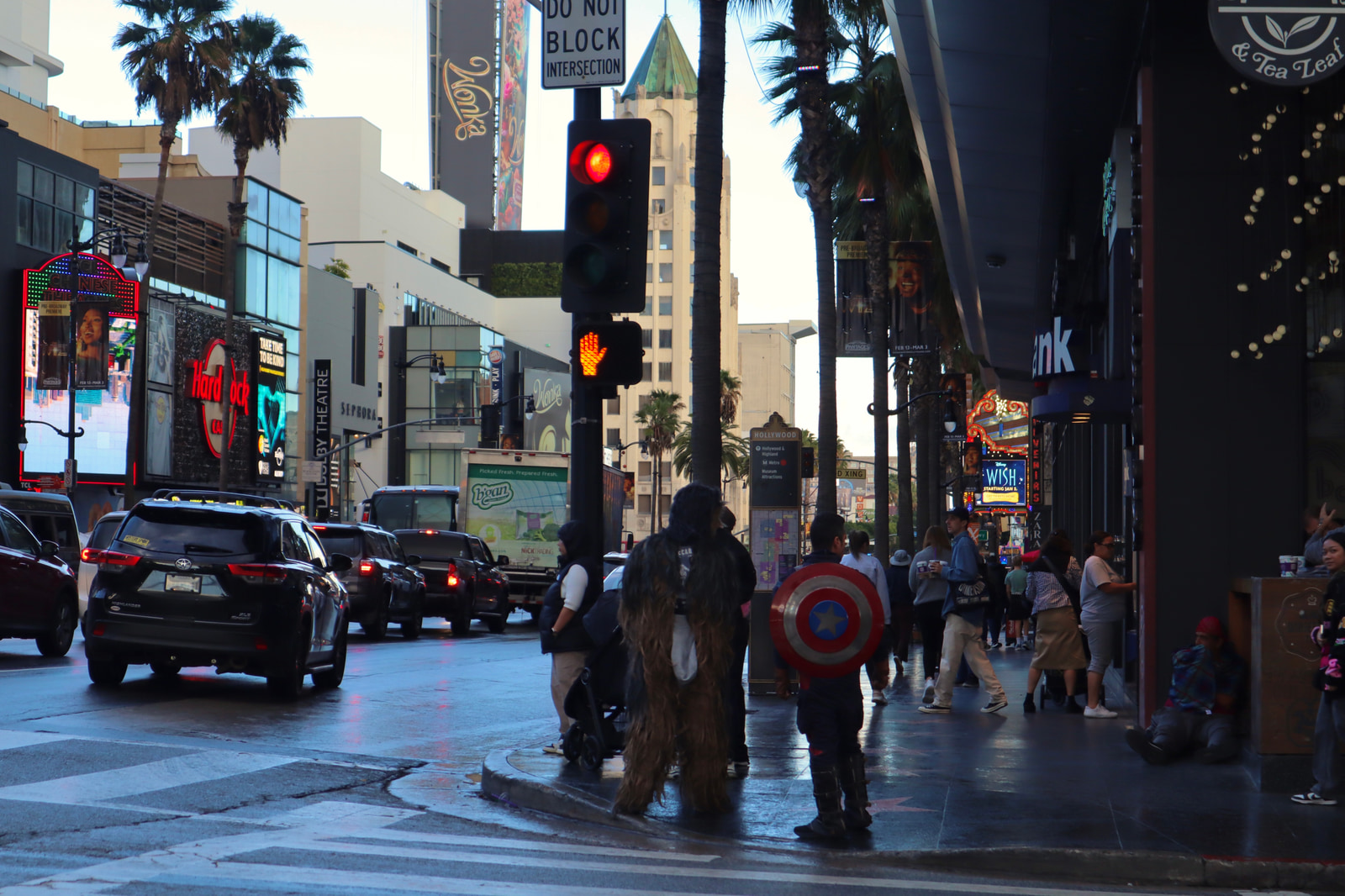 Sight Seeing