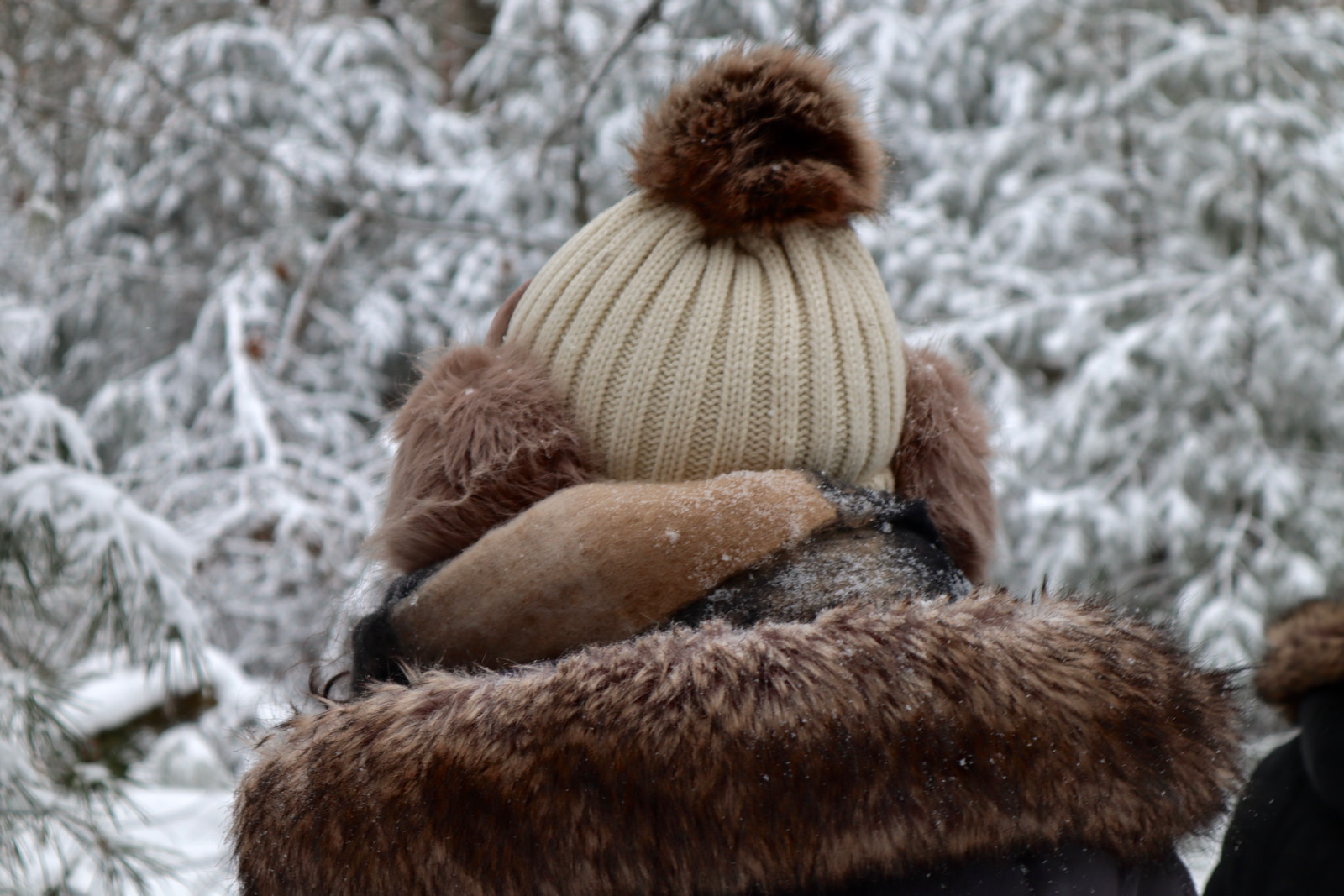 Hikes and Road Trips