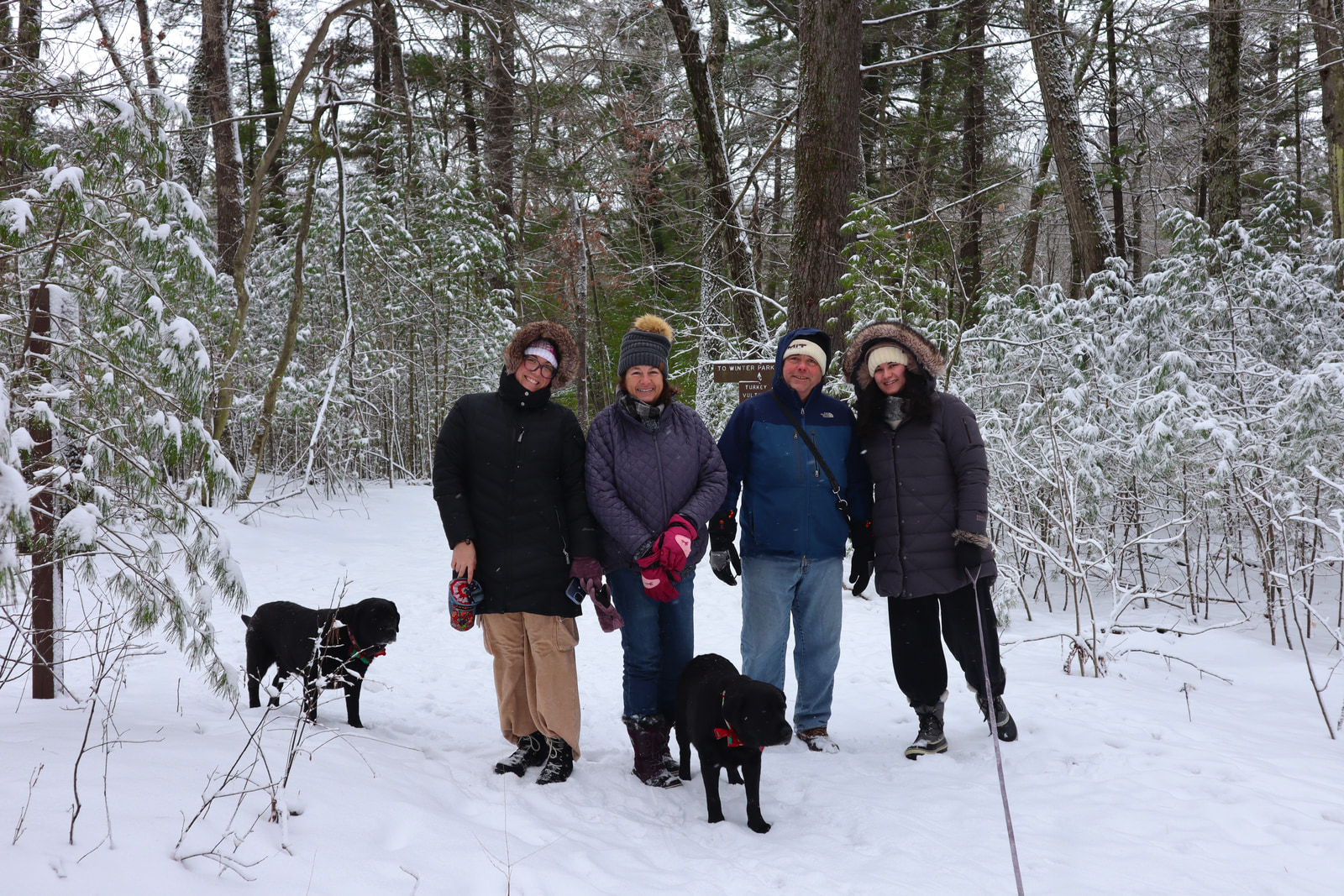 Hikes and Road Trips